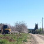 Sul Informação - Há novos «trabalhos ilegais de plantação de abacates» no Parque Natural da Ria Formosa