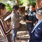 Sul Informação - Junta de Freguesia de Quarteira instala abrigo para gatos no hotel Hilton