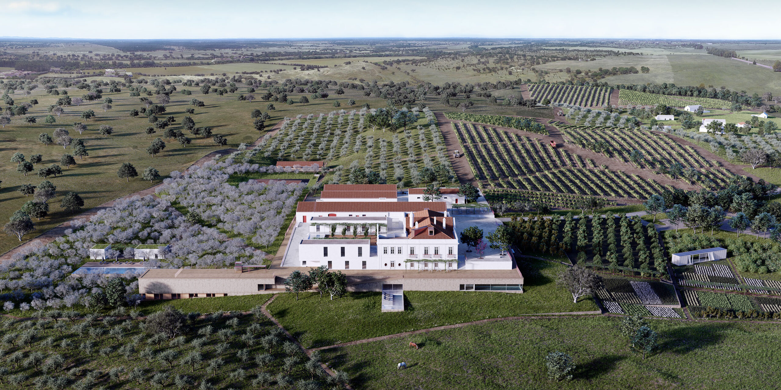 Sul Informação - Hotel de 5 estrelas na Herdade da Torre Vã «entusiasma» Ourique