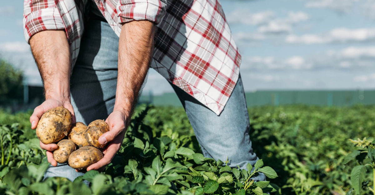 Sul Informação - Nova campanha do Crédito Agrícola aposta na promoção de agricultura sustentável