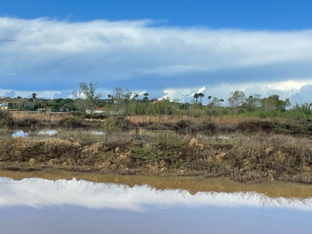 Sul Informação - Câmara de Lagoa quer comprar Alagoas Brancas com dinheiro do Fundo Ambiental