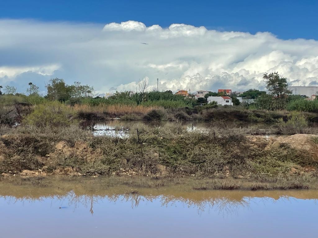 Sul Informação - Câmara de Lagoa quer comprar Alagoas Brancas com dinheiro do Fundo Ambiental