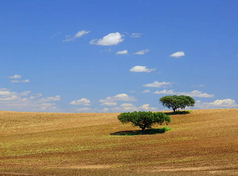 Sul Informação - Qual a estratégia de desenvolvimento territorial do Alentejo para 2014 -2020