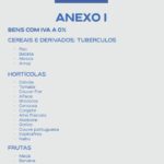 Sul Informação - Conheça o cabaz com produtos com IVA zero