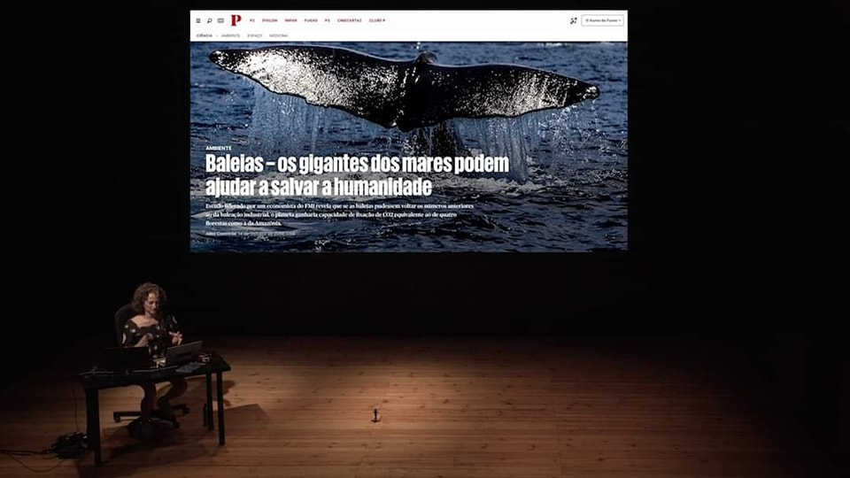 Sul Informação - Vera Mantero leva “All you need is Plankton” a Odemira