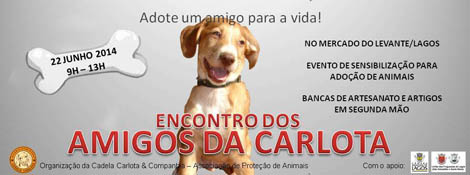 Sul Informação - Associação Cadela Carlota promove encontro de adoção de animais em Lagos