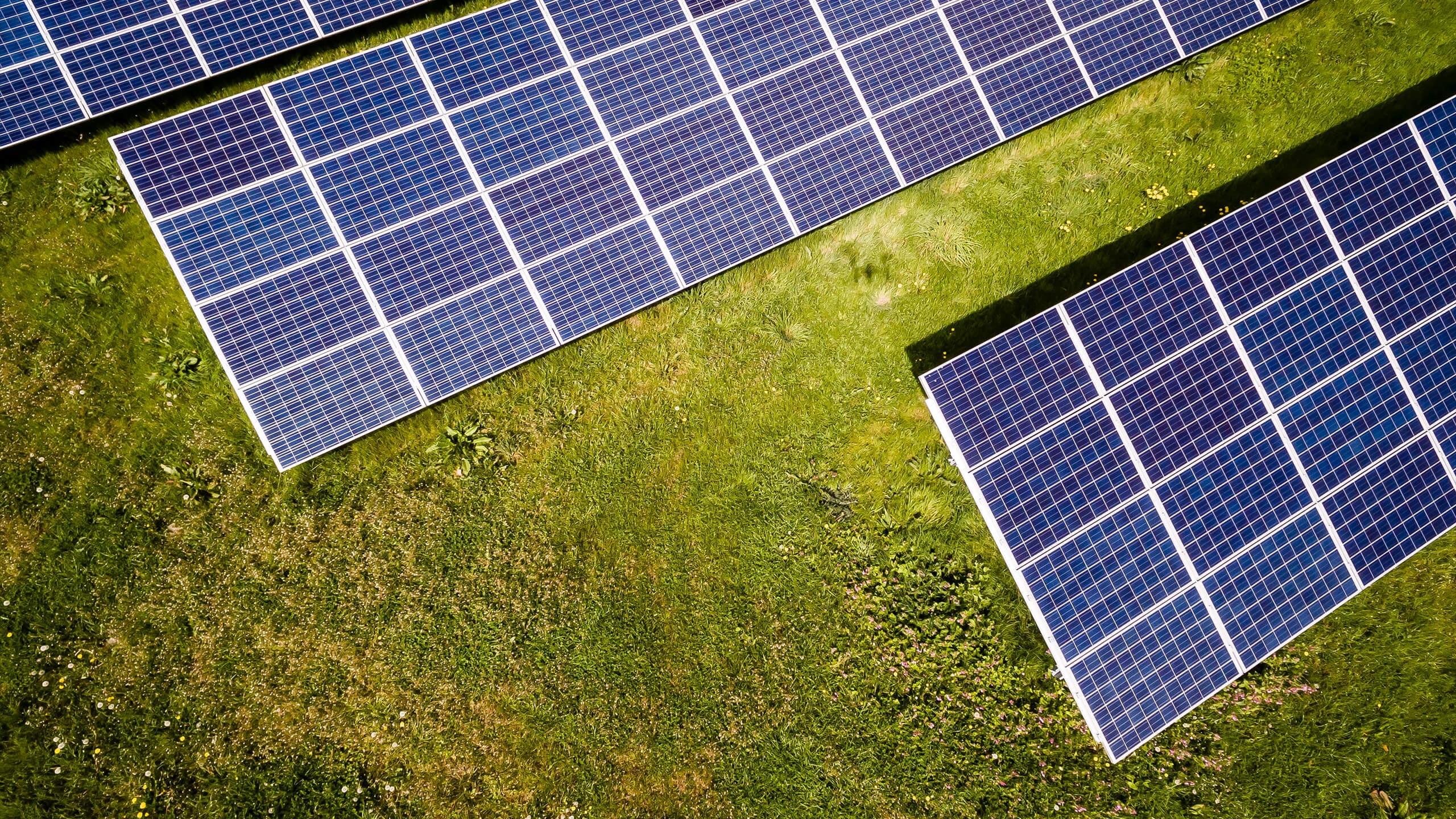 Sul Informação - Neoen diz que Central Solar do Foral respeita «algumas das sugestões da população»