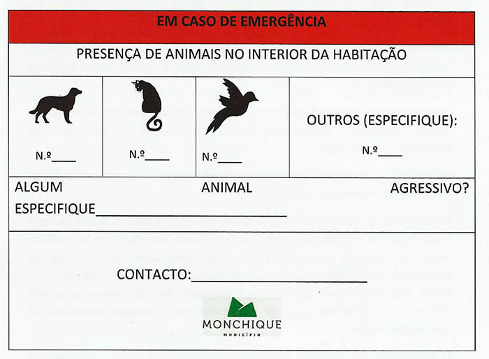Sul Informação