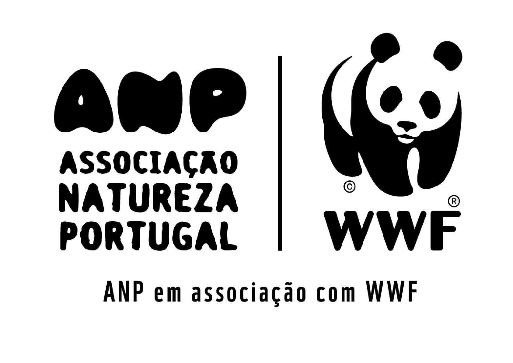 Sul Informação