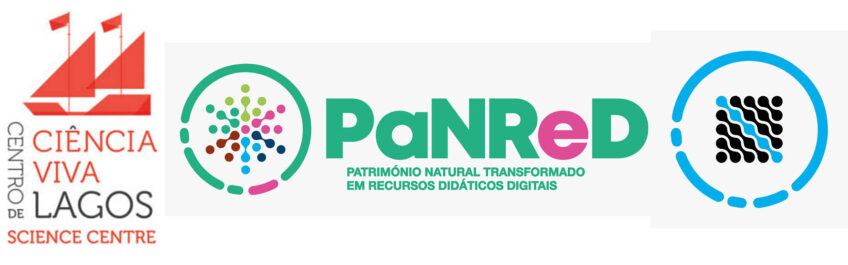Sul Informação