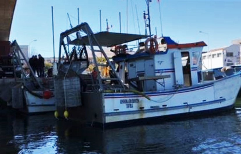 Sul Informação - 160 quilos de pés-de-burrinho apreendidos a barcos com tripulação espanhola em Tavira