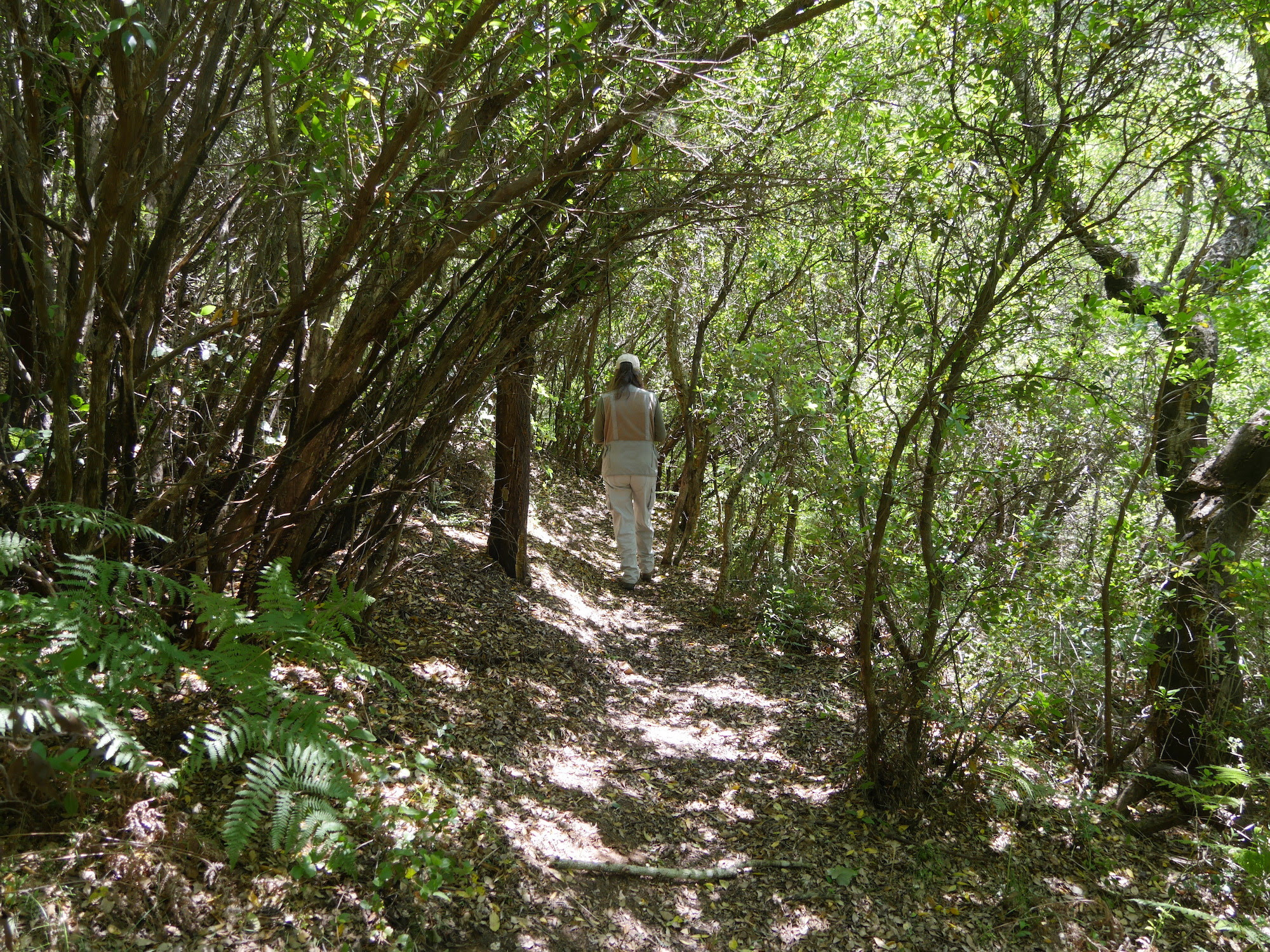 Sul Informação - Primeira Área Protegida Privada do Algarve nasce em Aljezur