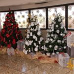 Sul Informação - «Floresta Encantada de Natal» embeleza Câmara de Albufeira