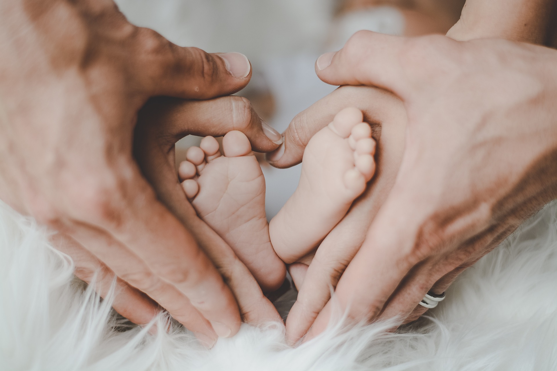 Sul Informação - Programa de Apoio à Natalidade e Adoção de Moura já apoiou 137 famílias