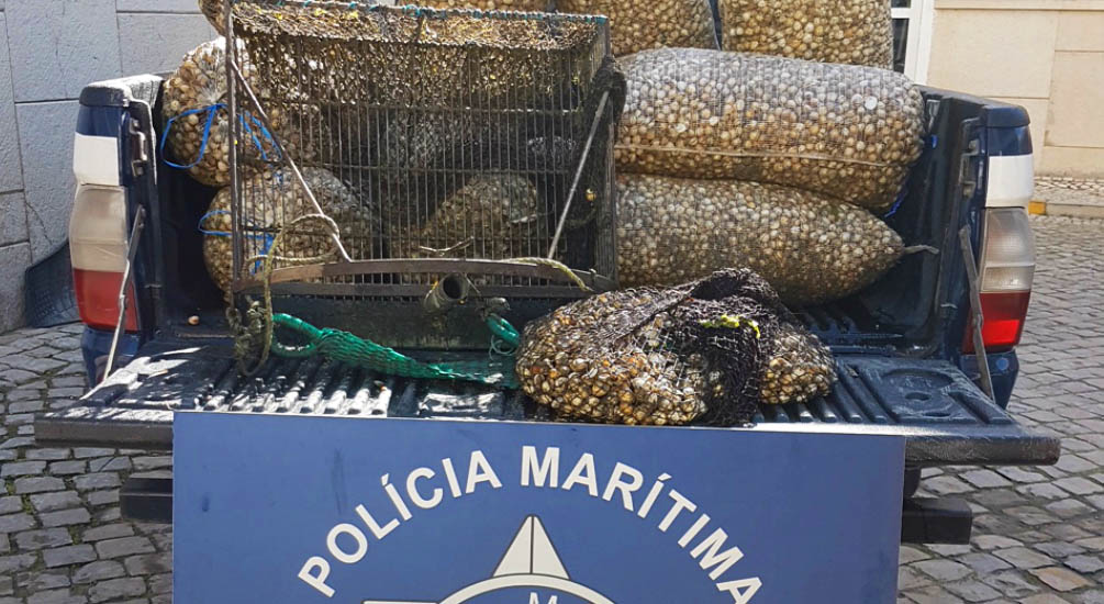 Sul Informação - Mais 700 quilos de berbigão apreendidos pela Polícia Marítima na Ria Formosa