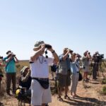 Sul Informação - Maior festival português dedicado à Natureza começa sexta-feira em Sagres