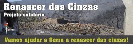 Sul Informação - São Brás de Alportel lança “Desafio Fotográfico – Renascer da Serra”
