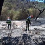 Sul Informação - 30 bombeiros sapadores de Faro ajudaram a combater incêndio de Aljezur