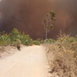 Sul Informação - 30 bombeiros sapadores de Faro ajudaram a combater incêndio de Aljezur