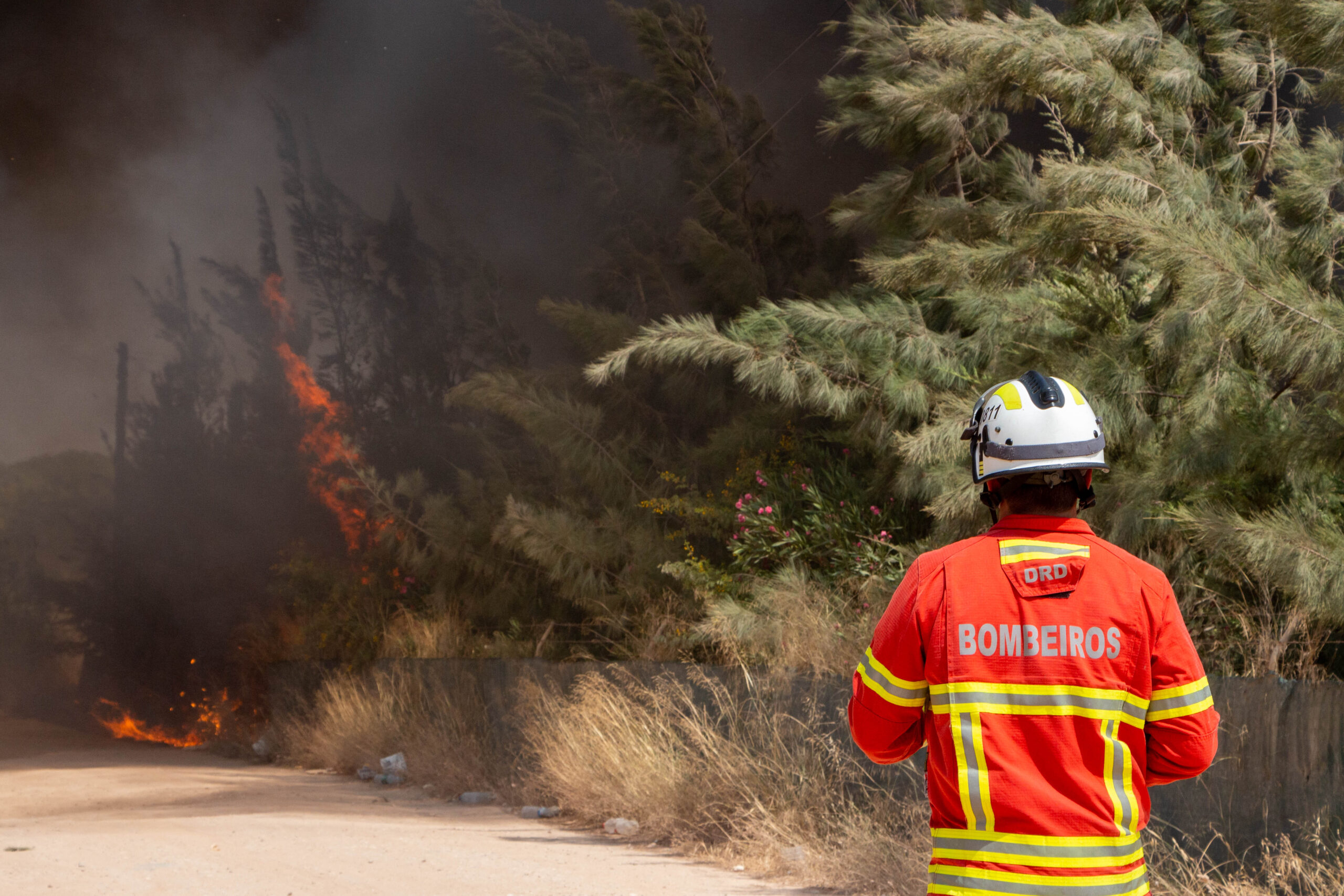 Sul Informação - 72 operacionais combatem incêndio «com alguma intensidade» no Azinhal