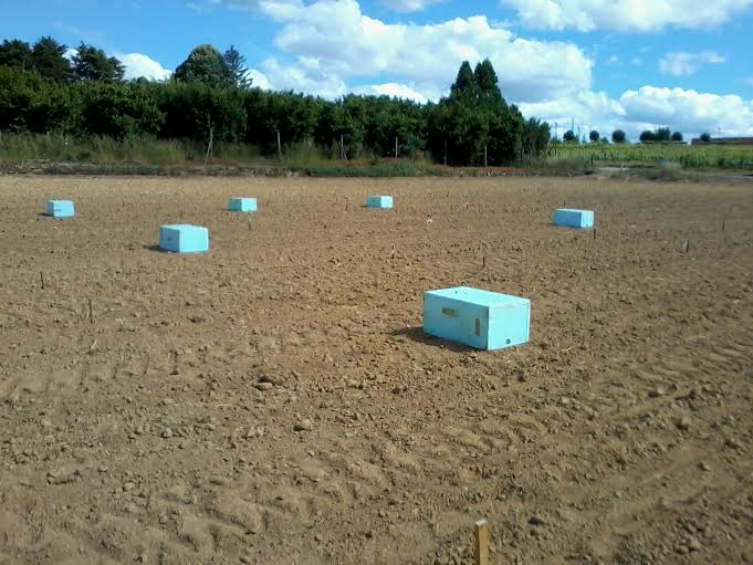 Sul Informação - Nova tecnologia reduz até 50% das emissões de gases de estufa dos dejetos bovinos