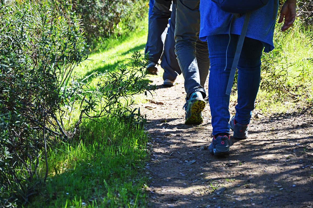 Sul Informação - Está quase aí o Algarve Nature Fest
