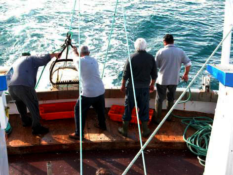 Sul Informação - IPMA monitoriza bancos de bivalves entre Vila Real de Santo António e Olhos d’Água