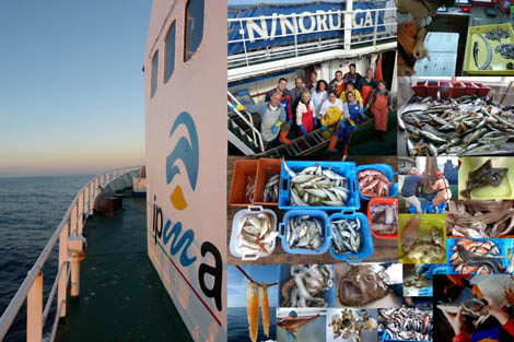 Sul Informação - Terminou 1º fase da Campanha Demersal a bordo do navio Noruega
