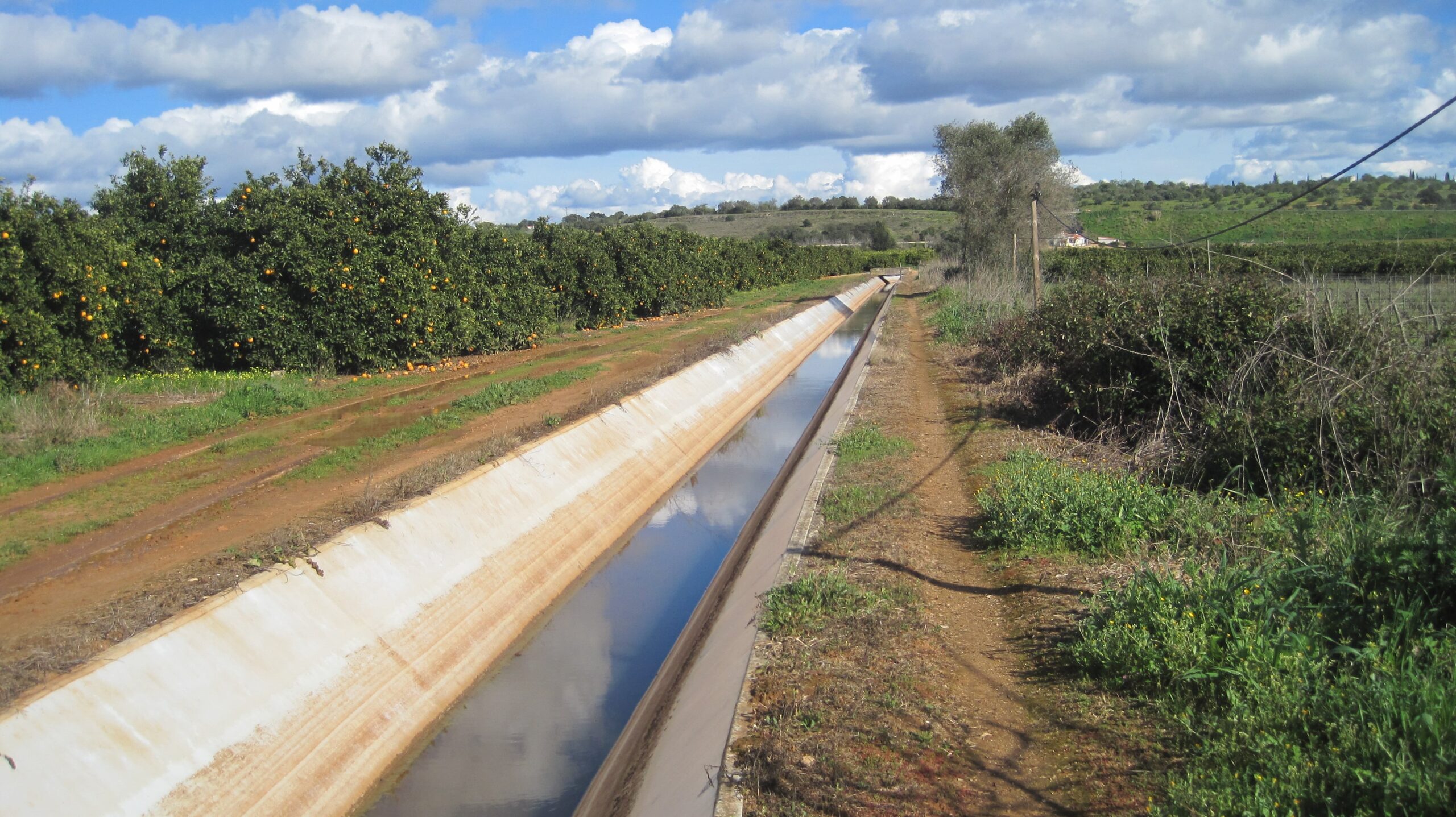 Sul Informação - PRR preocupado com andamento da redução de perdas de água no setor agrícola do Algarve