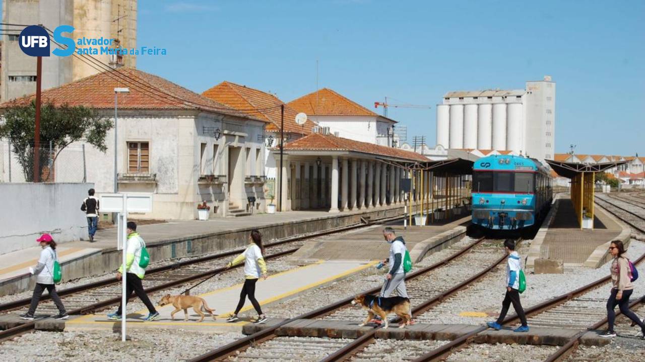 Sul Informação - Cãominhada de freguesias de Beja já tem data e inscrições abertas