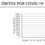 Sul Informação - Covid-19: Alentejo com 16 óbitos e mais 119 casos num dia em que os internamentos baixaram no país
