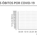 Sul Informação - Covid-19: Algarve tem mais 198 casos e 5 óbitos, Portugal com novo máximo de mortes
