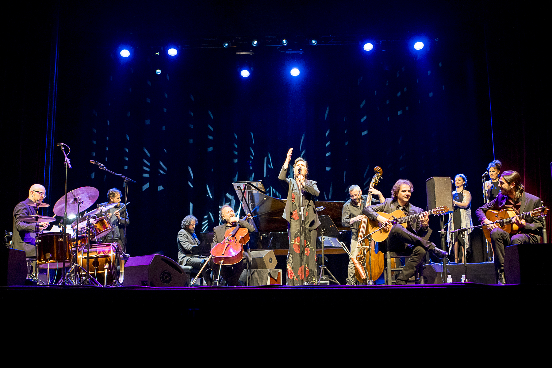 Sul Informação - Prémio Internacional leva Flamenco, Arquitetura e Biodiversidade ao Alentejo
