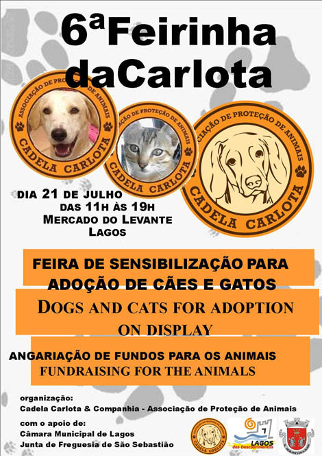 Sul Informação - Feirinha da Carlota mostra animais para adoção em Lagos