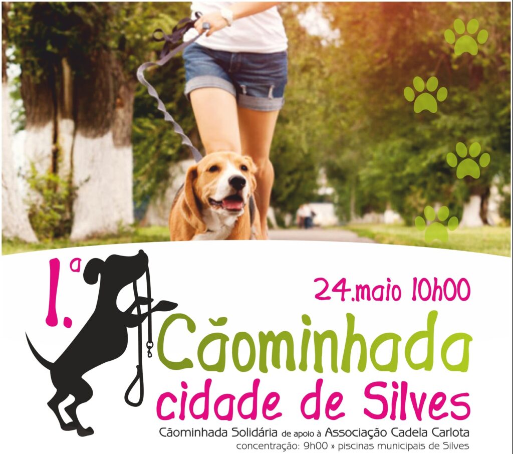 cartaz caominhada cidade de silves