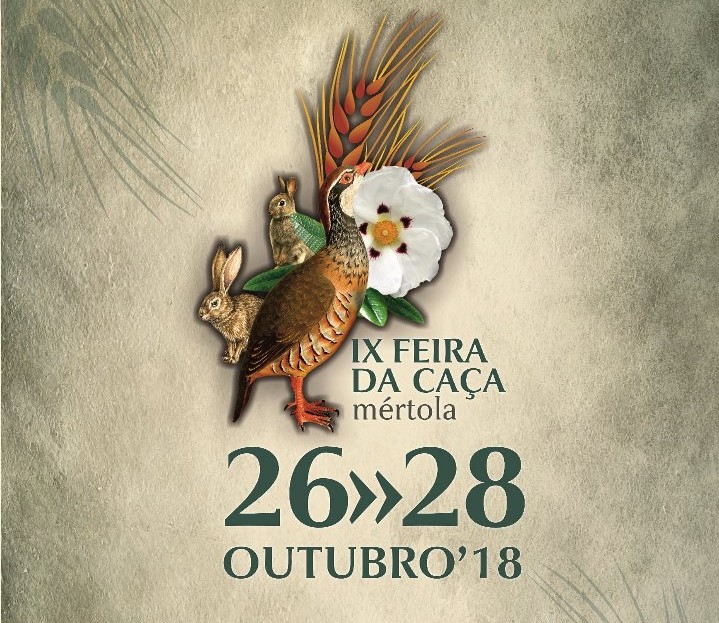 Sul Informação