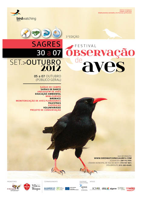 Sul Informação - 3º Festival de Observação de Aves de Sagres marcado para 30 de setembro a 7 de outubro