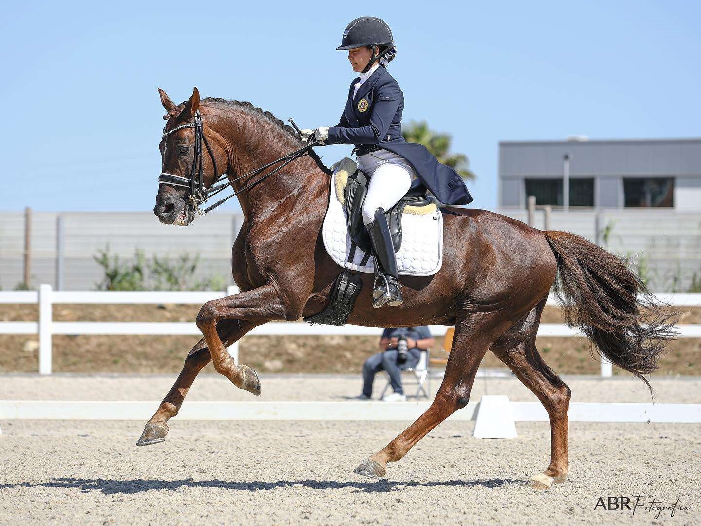 Sul Informação - Algarvia Mariana Assis da Silva representa Portugal nos Campeonatos de Europa de Dressage
