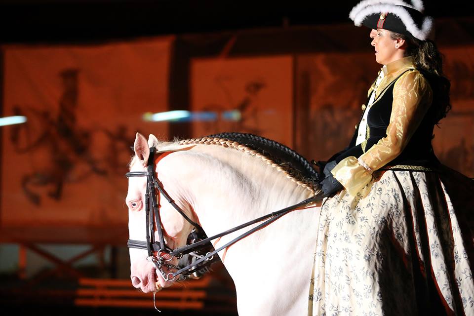 Sul Informação - Albufeira homenageia o cavalo lusitano com Gala Equestre