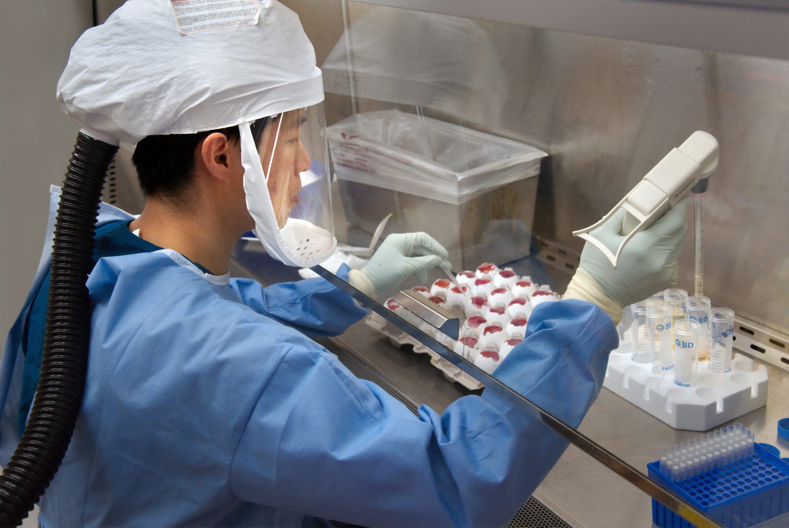 Sul Informação - Epidemia atingiu o pico em Portugal no dia 25 de Novembro