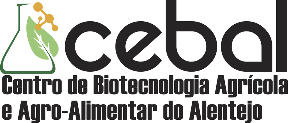 Sul Informação - És(cola) Ciência é o novo projeto de Inovação Social do CEBAL