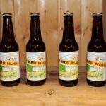Sul Informação - Já bebeu uma cerveja feita de pão caseiro? Com a “Alen’tejo” é possível
