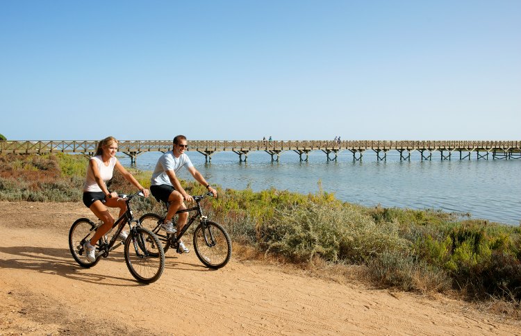 Sul Informação - RTA quer promover ciclismo e cicloturismo para atrair mais estágios, eventos e turistas