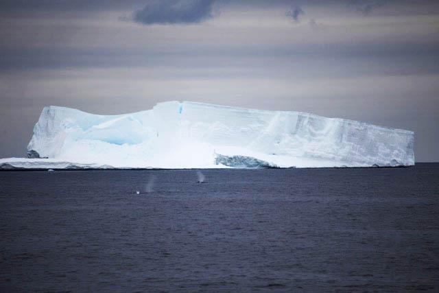 Sul Informação - O que é a ciência polar?