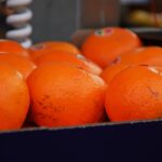 Sul Informação - Silves já é a capital da laranja do Algarve por três dias