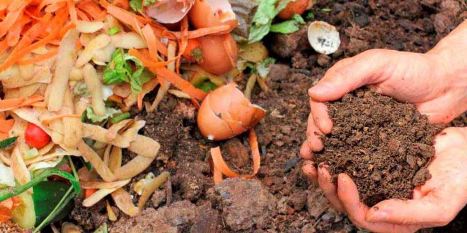 Sul Informação - Compostagem doméstica, compostagem comunitária e recolha seletiva de biorresíduos avançam em Silves