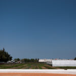 Sul Informação - Convento às portas de Lagoa transforma-se em “santuário” de produtos biológicos