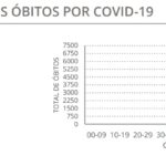 Sul Informação - Casos de Covid-19 aumentam, mas internamentos desceram