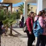 Sul Informação - Alunos foram à Culatra, visitaram a pradaria marinha e agora vão ilustrar um livro