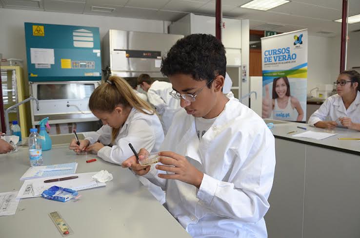Sul Informação - Universidade do Algarve tem candidaturas abertas para os Cursos de Verão